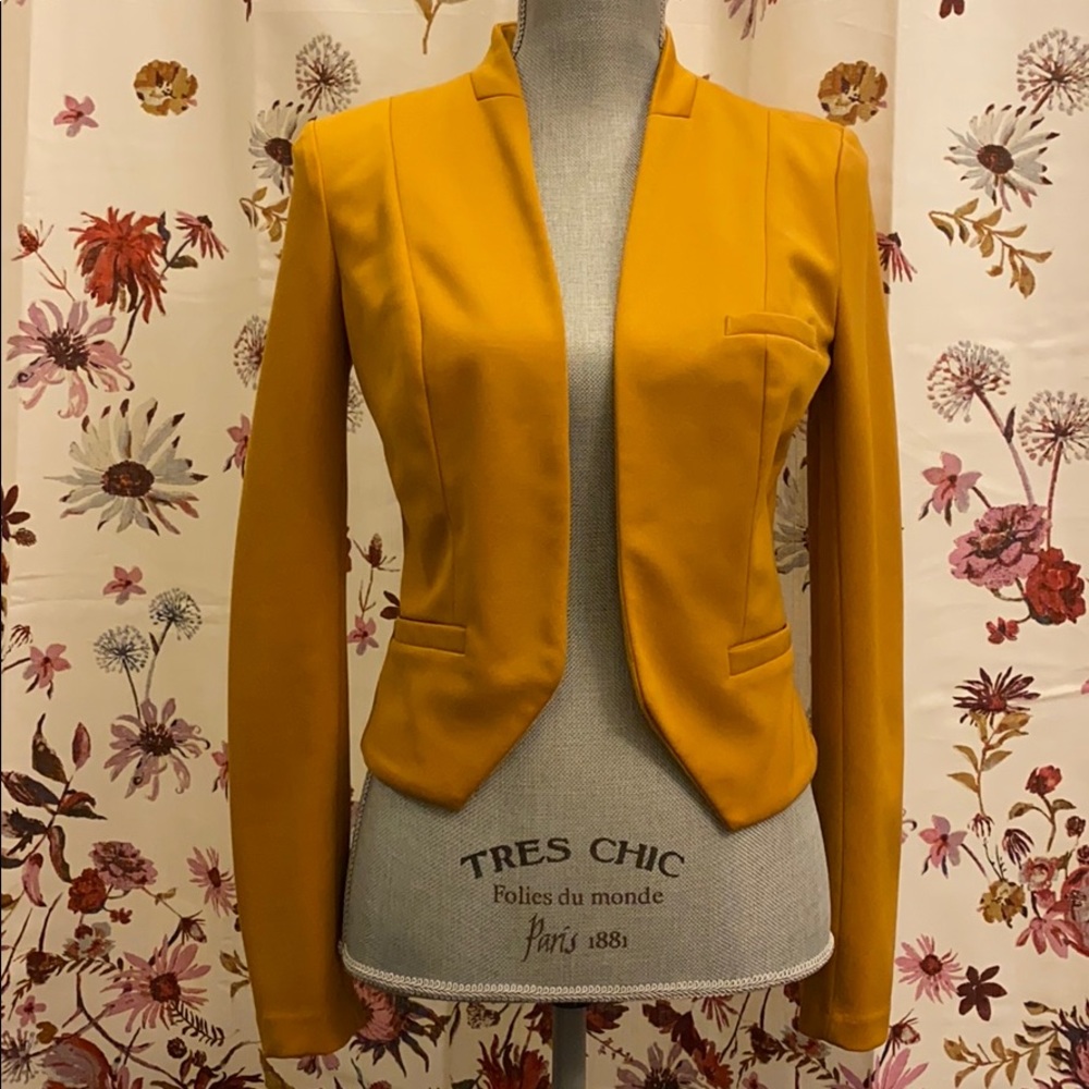 Lovely Mustard Blazer
